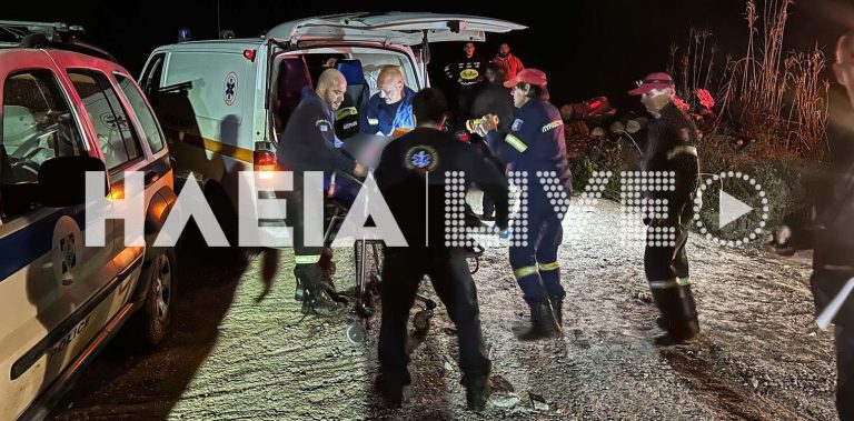 Κρέστενα: Τραγικός θάνατος ηλικιωμένου – Καταπλακώθηκε από το δέντρο που έκοβε