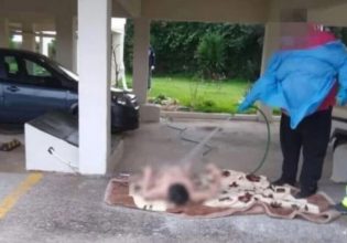 Ωρωπός: Η εταιρεία απέλυσε τους εμπλεκόμενους στο ντροπιαστικό συμβάν με την 70χρονη