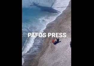 Γυναικοκτονία στην Κύπρο: Την στραγγάλισε και την έριξε στον γκρεμό