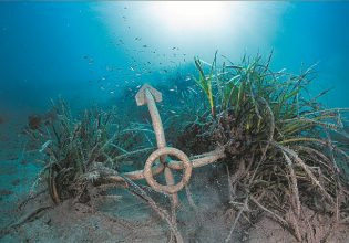 Δίχτυ προστασίας για τα λιβάδια ποσειδωνίας