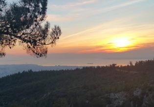 Τρεις δήμοι ενώνουν τις δυνάμεις τους για την προστασία του δάσους Σέιχ Σου στη Θεσσαλονίκη