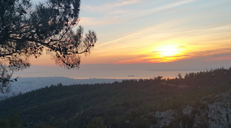 Τρεις δήμοι ενώνουν τις δυνάμεις τους για την προστασία του δάσους Σέιχ Σου στη Θεσσαλονίκη