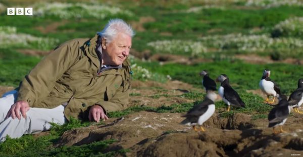 Νέα (και τελευταία;) σειρά του Ντέιβιντ Ατένμπορο για το Ηνωμένο Βασίλειο και την Ιρλανδία