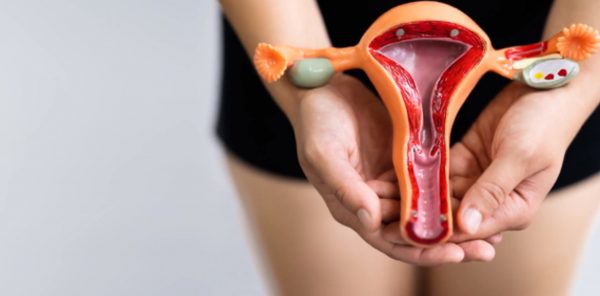 Σε τσιπ με κύτταρα κόλπου οι δοκιμές νέων θεραπειών