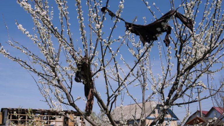 Φεστιβάλ Ντοκιμαντέρ Θεσσαλονίκης: Όταν ήρθε η άνοιξη στην Ουκρανία του πολέμου