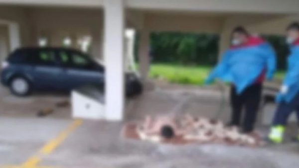 Θάνος Πλεύρης: «Πρόκειται για απάνθρωπο περιστατικό που φτάνει στα όρια βασανισμού»