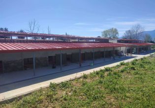 Το καλοκαίρι θα είναι έτοιμο το νέο Δημοτικό Κυνοκομείο Κατερίνης