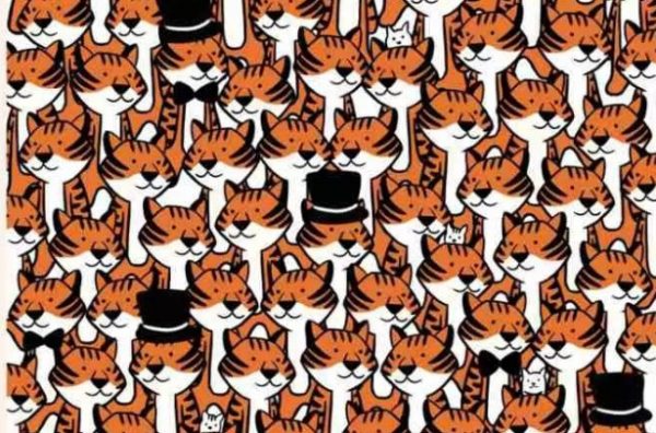 H νέα ψευδαίσθηση που τρελαίνει τα social media – Μόνο το 1% καταφέρνει να βρει τη λύση