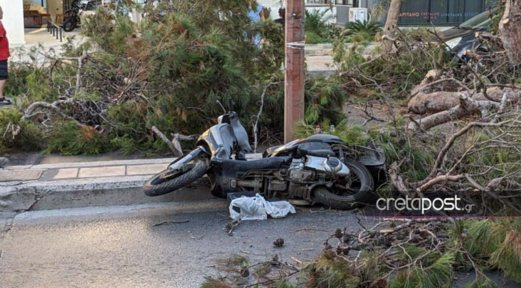 Πάνω από 1 εκατ. ευρώ ζητά η οικογένεια του άντρα που καταπλακώθηκε από πεύκο στο Ηράκλειο