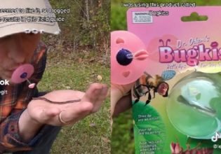 Τι άλλο θα δούμε… Δημιούργησαν συσκευή που σου επιτρέπει να… φιλάς έντομα