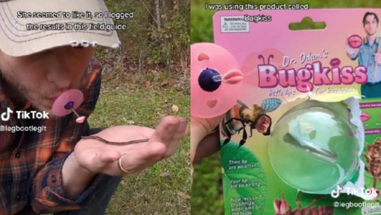 Τι άλλο θα δούμε… Δημιούργησαν συσκευή που σου επιτρέπει να… φιλάς έντομα