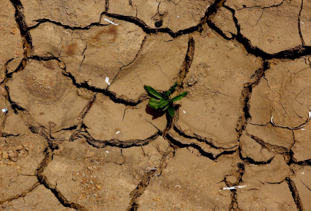 Η Καταλονία βρίσκεται αντιμέτωπη με την χειρότερη ξηρασία των τελευταίων 50 ετών