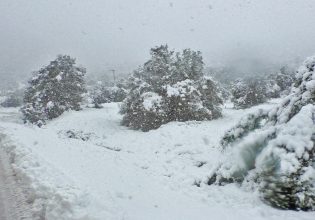 Σάκης Αρναούτογλου: Κυριακή των Βαΐων με χιόνια – «Παραμυθένιες» εικόνες από Κοζάνη και Φλώρινα