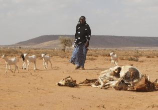 Ακραία καιρικά φαινόμενα: Κίνδυνος για «σούπερ Ελ Νίνιο» μέχρι το τέλος του έτους