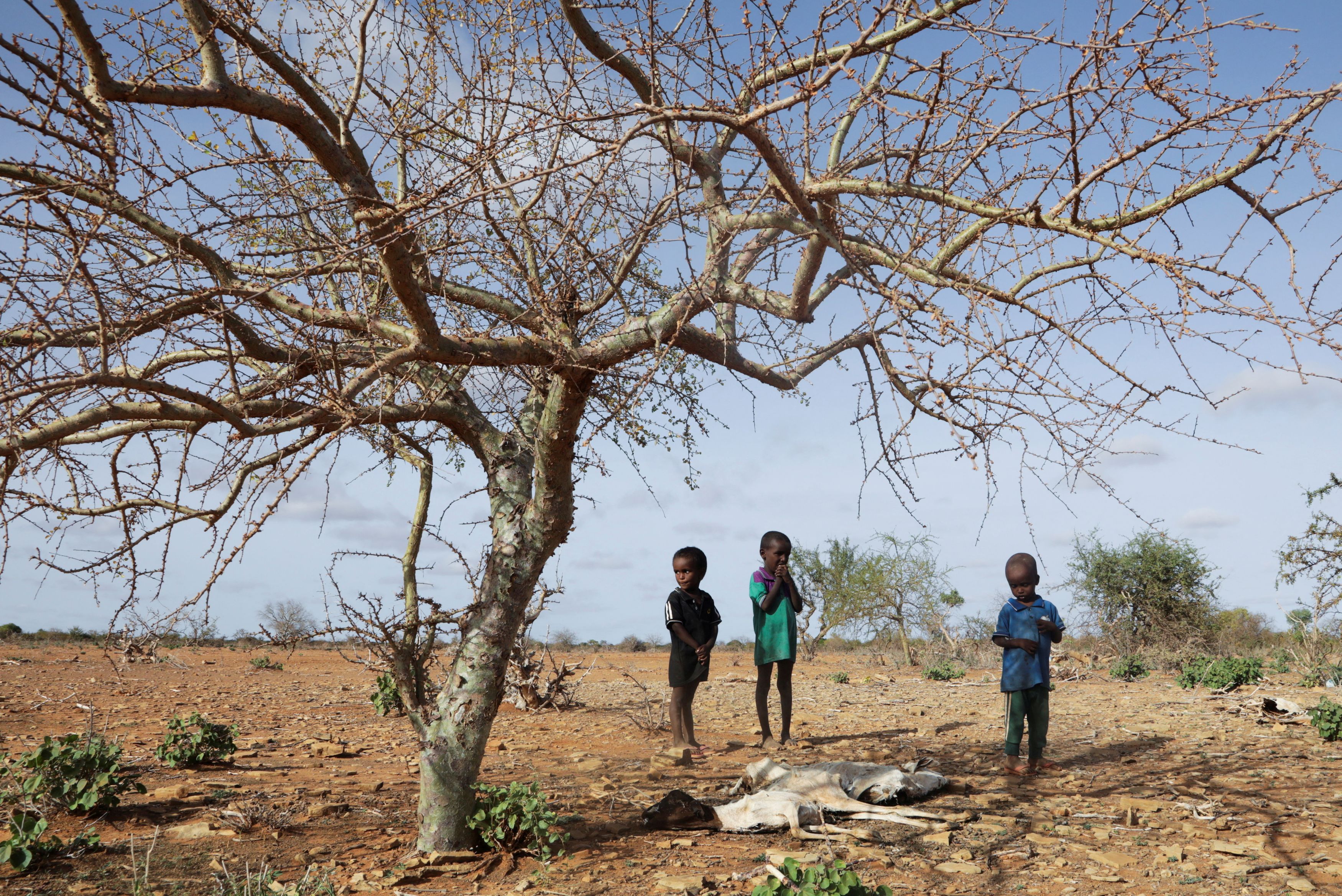 Σομαλία, η χώρα που πεθαίνει από τις εκπομπές άνθρακα των άλλων