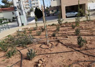 Για «περίεργους» βανδαλισμούς κάνει λόγο ο Δήμαρχος Ραφήνας – Πικερμίου