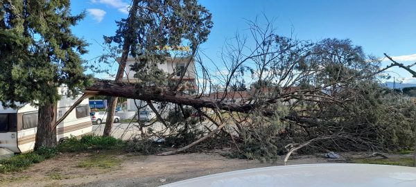 Κηρύχθηκε σε κατάσταση έκτακτης ανάγκης ο Δήμος Αλιάρτου – Θεσπιέων