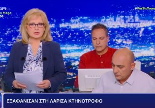 Μάρτυρας – κλειδί εξόργισε την Αγγελική Νικολούλη: «Τέτοια παιχνιδάκια όχι εδώ»
