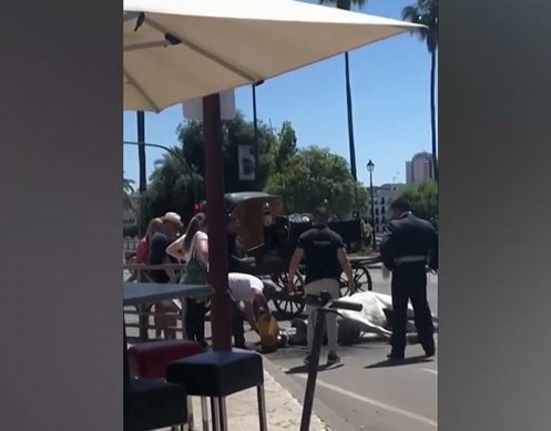 Καύσωνας στην Ισπανία: Άλογο κατέρρευσε στη μέση του δρόμου από τη ζέστη