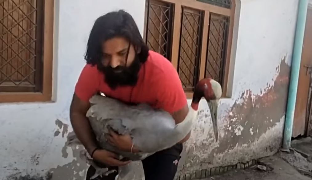 Έσωσε γερανό και ζητάει από τις Αρχές να ελευθερώσουν τη «φίλη του» - Αγρότης έγινε σταρ στα social media στην Ινδία