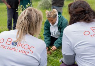 Η Βόρεια Εύβοια θα πρασινίσει και πάλι