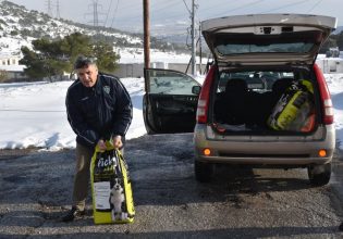 Δυο μόλις Δήμοι της χώρας φρόντισαν σχεδόν 600 αδέσποτα ζώα συντροφιάς