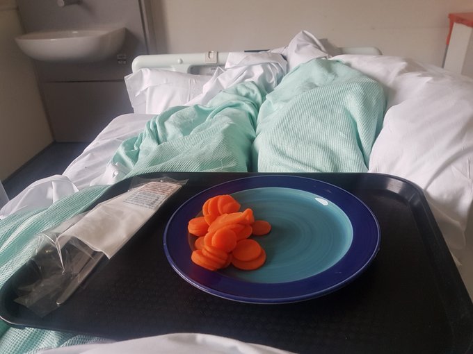 Γνωστός vegan ακτιβιστής έγινε έξαλλος με το δείπνο σε νοσοκομείο – «Μια χούφτα καρότα και έξι πατάτες»