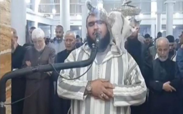 Ραμαζάνι: Γάτα σκαρφάλωσε πάνω στον ιμάμη κατά τη διάρκεια προσευχής