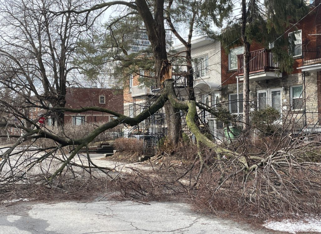 Δύο νεκροί από παγοθύελλα στον Καναδά – Πάνω από ένα εκατομμύριο κάτοικοι χωρίς ρεύμα