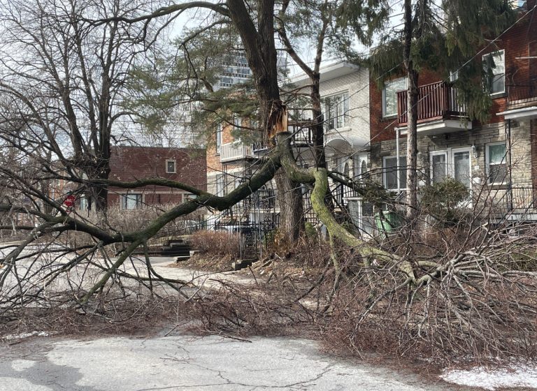 Δύο νεκροί από παγοθύελλα στον Καναδά – Πάνω από ένα εκατομμύριο κάτοικοι χωρίς ρεύμα