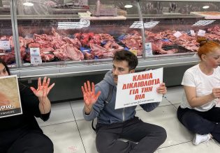 Vegan πέταξαν μπογιά σε κρεοπωλείο – Διαμαρτυρία για τη σφαγή αρνιών το Πάσχα