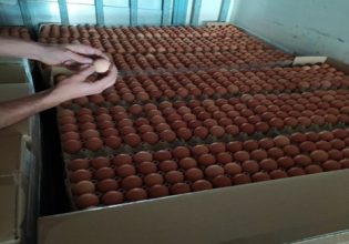 ΣΔΟΕ: Κατέσχεσε 300.000 αυγά Βουλγαρίας που θα τα «βάφτιζαν» ελληνικά για το Πάσχα