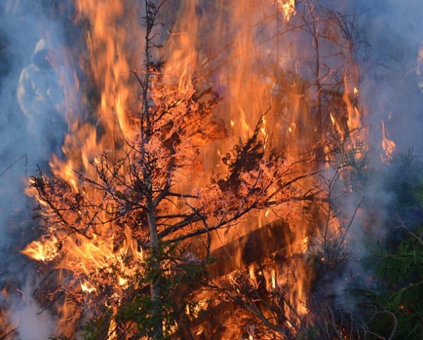 Τραγωδία στη Μυτιλήνη: Πήγε να βάλει φωτιά σε κλαδιά και κάηκε ζωντανή