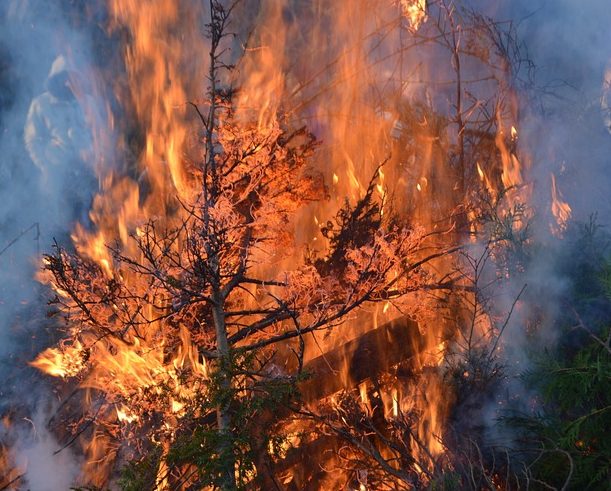 Τραγωδία στη Μυτιλήνη: Πήγε να βάλει φωτιά σε κλαδιά και κάηκε ζωντανή
