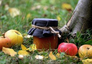 Ταμείο Ανάκαμψης: Από 12 Μαΐου αιτήσεις για την μεταποίηση αγροτικών προϊόντων