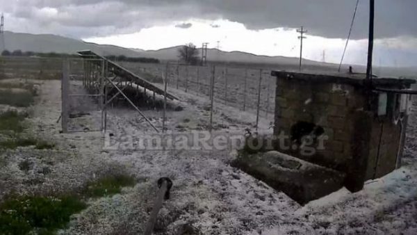Χαλαζόπτωση στη Λαμία: Μέσα σε 4 λεπτά έγιναν όλα άσπρα