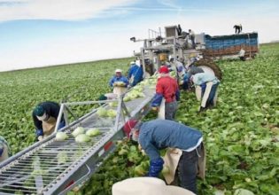 Εργάτες γης: Στο ΦΕΚ οι άδειες διαμονής για εργασία – Πώς επιμερίζονται στον πρωτογενή τομέα