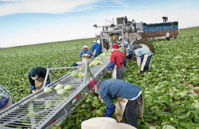 Εργάτες γης: Στο ΦΕΚ οι άδειες διαμονής για εργασία - Πώς επιμερίζονται στον πρωτογενή τομέα