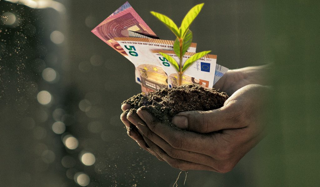 Συνδεδεμένες: Καθορίστηκαν τα ποσά για έξι προϊόντα φυτικής παραγωγής