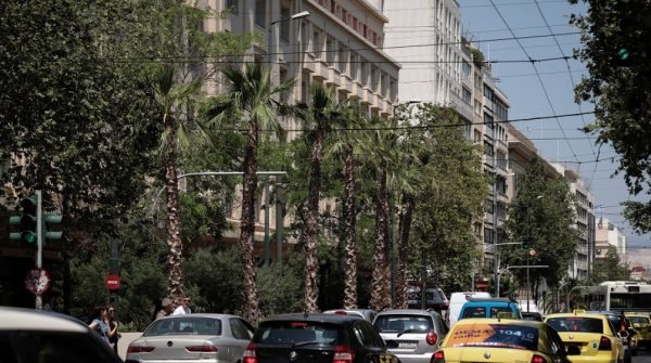 Φεύγουν οι φοίνικες από την Πανεπιστήμιου – Τι έργα θα γίνουν