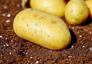 Πελοπόννησος: Εντατικοποίηση ελέγχων για ελληνοποιήσεις σε πατάτα και κρέας