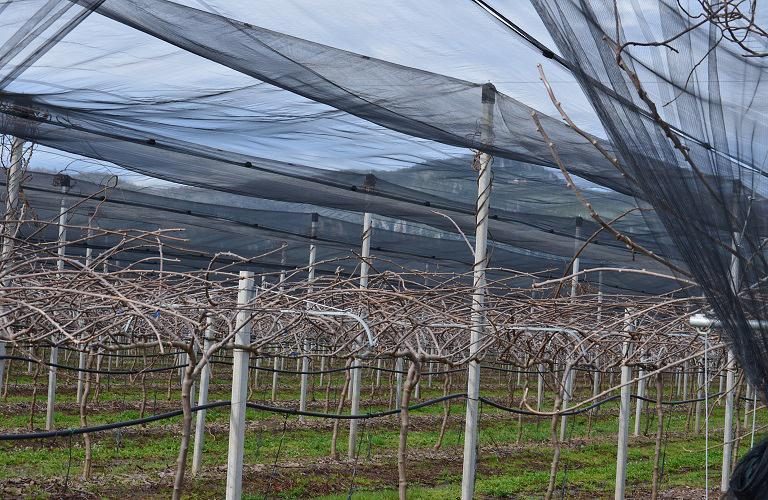 ΠΑΑ: Αναρτήθηκαν τα αποτελέσματα για τα αντιχαλαζικά