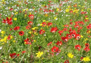 Πάσχα: Η πιο φωτεινή γιορτή, γι’ αυτό και η πιο ελληνική