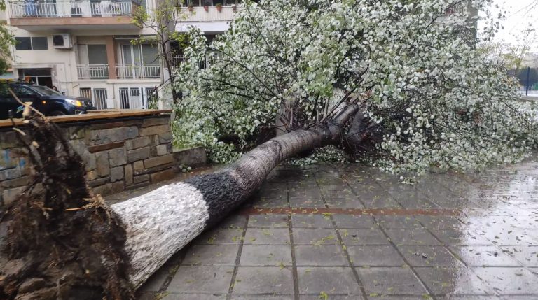 Κακοκαιρία Ilina: Πτώσεις δέντρων στη Θεσσαλονίκη – Υπερχείλισε ο Αλιάκμονας