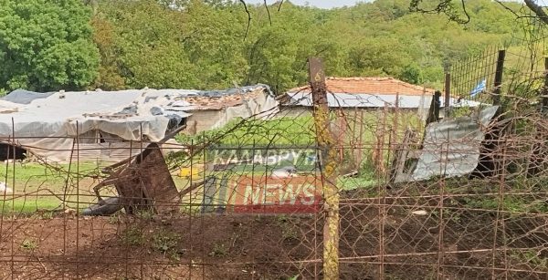 Καλάβρυτα: Νεκρός μέσα σε στάβλο βρέθηκε 30χρονος