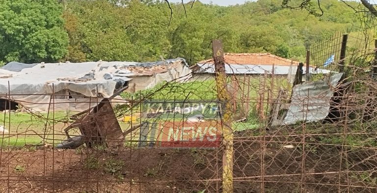 Καλάβρυτα: Νεκρός μέσα σε στάβλο βρέθηκε 30χρονος