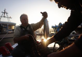 Αλιεία: Η Γιορτή του Ψαρά συναντά το ΑΜΟΡΓΟΡΑΜΑ, 9 και 10 Ιουνίου – «Για να μπορούν τα εγγόνια μας να έχουν ψάρια να φάνε»