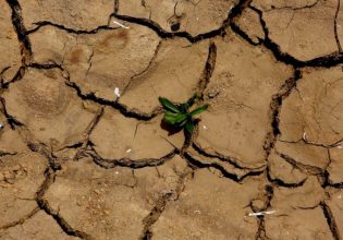Ξήρανση: Ποιες ελληνικές λίμνες βρίσκονται «στο κόκκινο»