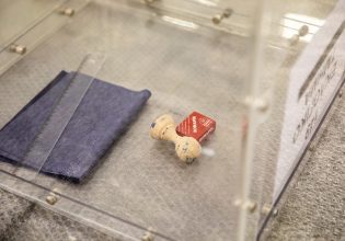 Εκλογές 2023: Πάνω από 10.000 αιωνόβιοι από 110 έως 116 ετών στους εκλογικούς καταλόγους