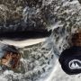 Νεκρά άλλα δύο δελφίνια στο Αιγαίο – «Οι θανατώσεις έγιναν από σκάφη από την Τουρκία»